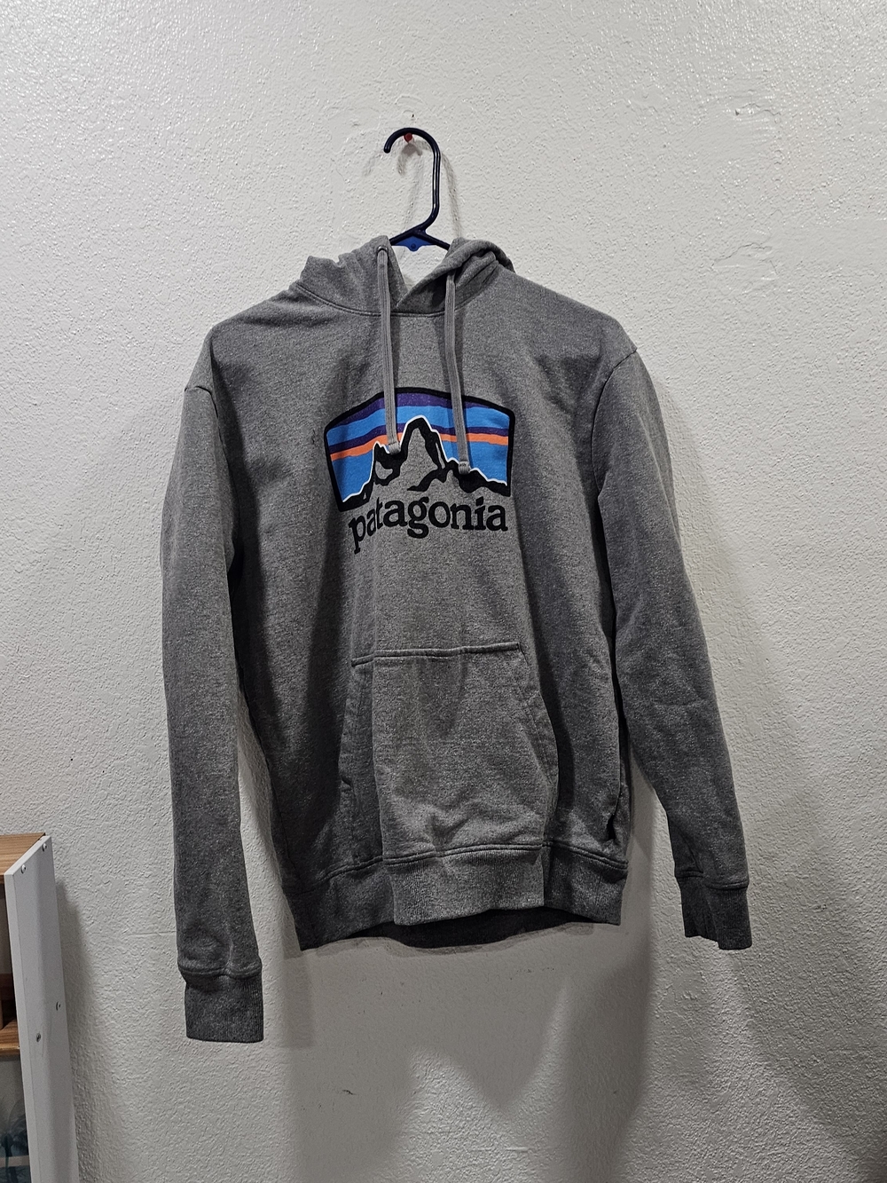 Patagonia Gray Hoodie with Multicolor Mountain Logo